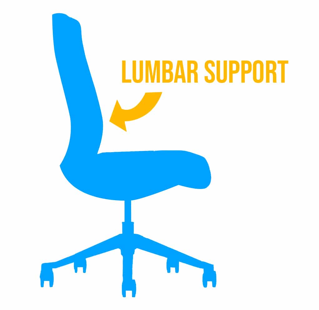What is lumbar support?